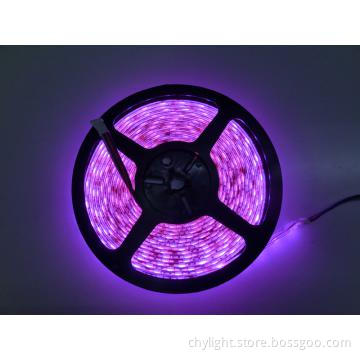 Brightness Light 12V DC SMD5050 LED Digital Strip